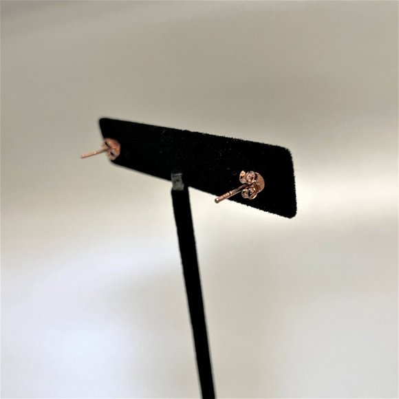 Bella Luce Diamond Simulant 2.00ctw 5x5mm Princess Cut SS Rose Stud Earrings NIB - Picture 9 of 10